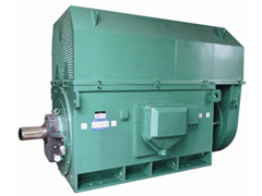 阳山Y系列6KV高压电机